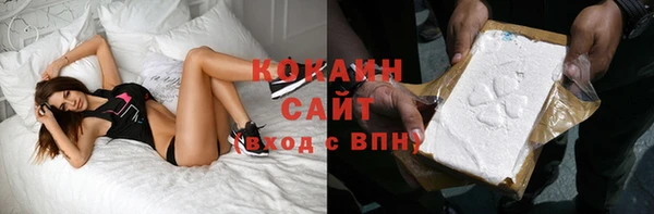 крисы Дмитров