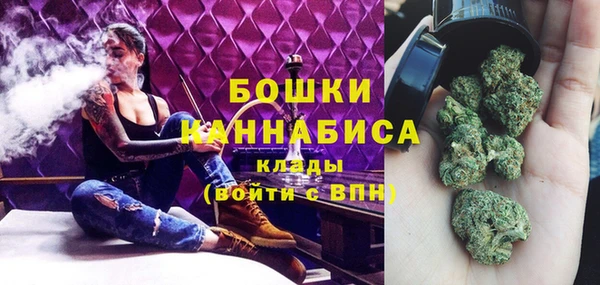 крисы Дмитров