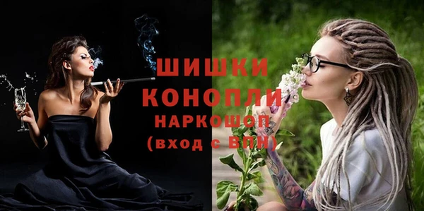 крисы Дмитров