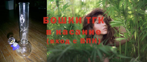 крисы Дмитров