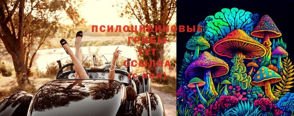 крисы Дмитров