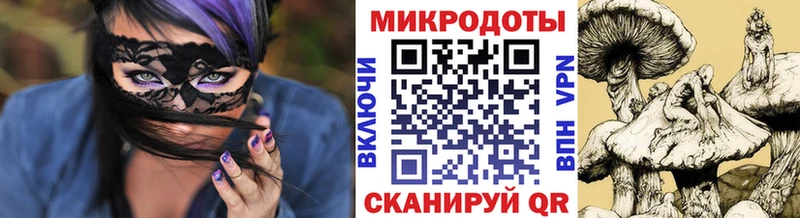 Галлюциногенные грибы мицелий Новоржев